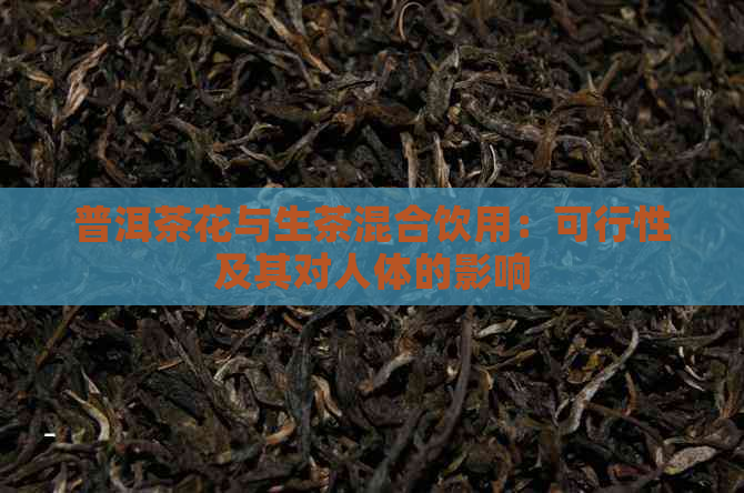 普洱茶花与生茶混合饮用：可行性及其对人体的影响