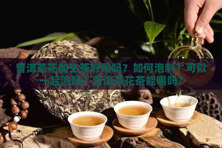 普洱茶花加生茶好喝吗？如何泡制？可以一起泡吗？普洱茶花茶能喝吗？