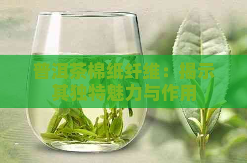 普洱茶棉纸纤维：揭示其独特魅力与作用