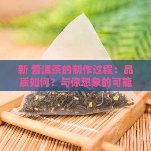 新 普洱茶的制作过程：品质如何？与你想象的可能有所不同