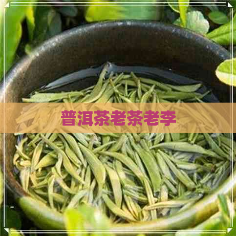 普洱茶老茶老李