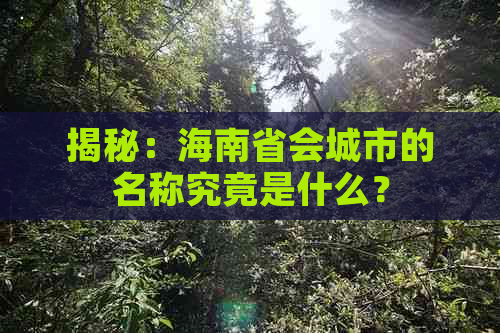 揭秘：海南省会城市的名称究竟是什么？