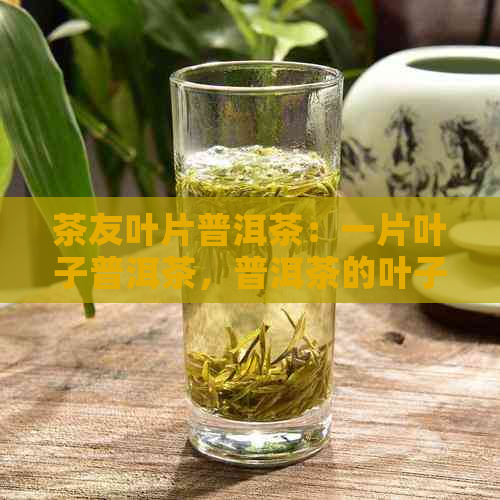 茶友叶片普洱茶：一片叶子普洱茶，普洱茶的叶子大好还是叶子小好？能吃吗？