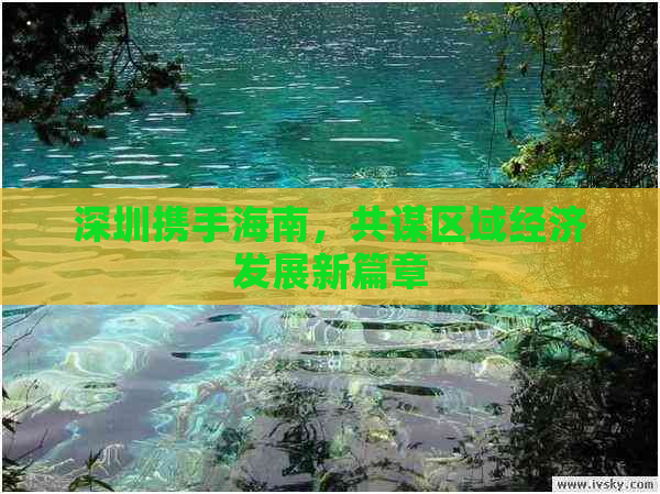 深圳携手海南，共谋区域经济发展新篇章