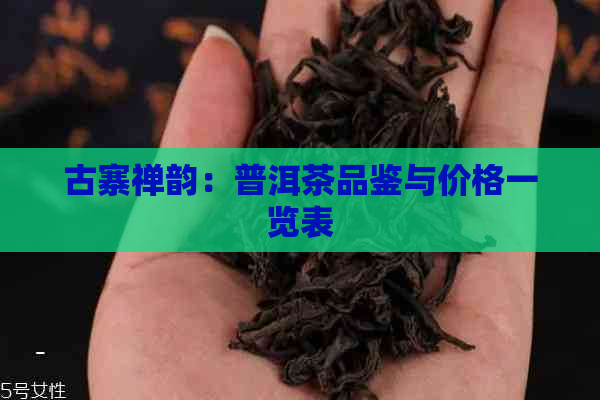 古寨禅韵：普洱茶品鉴与价格一览表