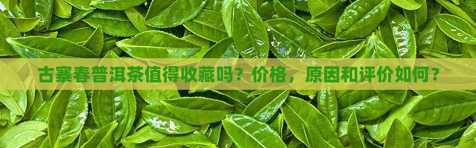 古寨春普洱茶值得收藏吗？价格，原因和评价如何？