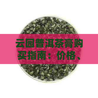 云园普洱茶膏购买指南：价格、品质、口感等全方位解析