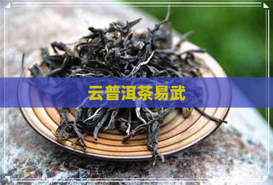 云普洱茶易武