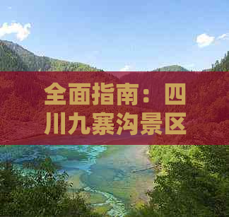 全面指南：四川九寨沟景区深度游攻略与实用信息汇总