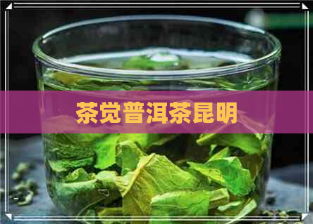 茶觉普洱茶昆明