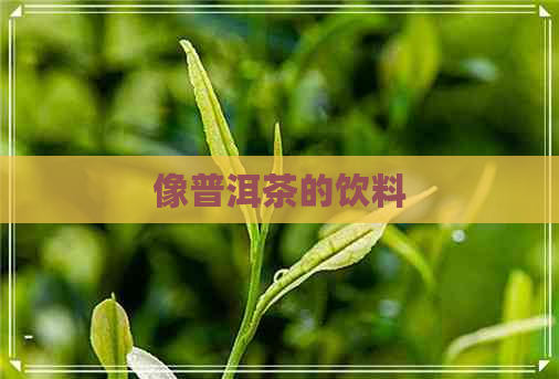 像普洱茶的饮料