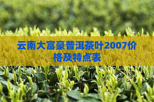 云南大富豪普洱茶叶2007价格及特点表