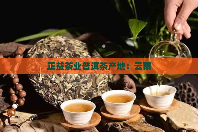 正益茶业普洱茶产地：云南