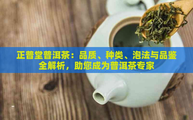 正普堂普洱茶：品质、种类、泡法与品鉴全解析，助您成为普洱茶专家