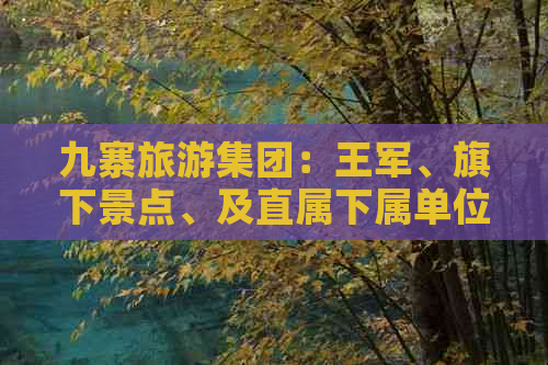 九寨旅游集团：王军、旗下景点、及直属下属单位一览