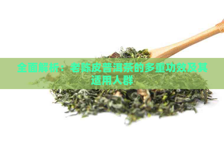 全面解析：老陈皮普洱茶的多重功效及其适用人群