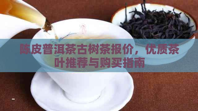 陈皮普洱茶古树茶报价，优质茶叶推荐与购买指南