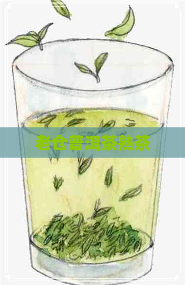 老仓普洱茶熟茶