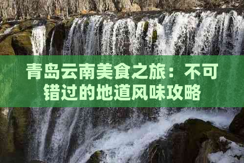 青岛云南美食之旅：不可错过的地道风味攻略