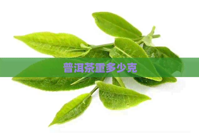 普洱茶重多少克