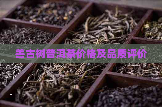 善古树普洱茶价格及品质评价