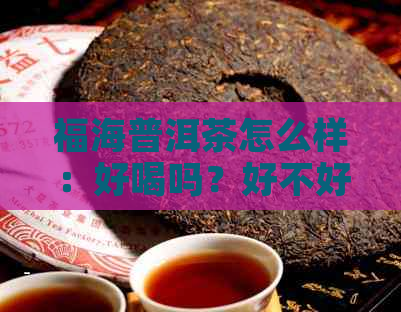 福海普洱茶怎么样：好喝吗？好不好？官网价格表是多少？