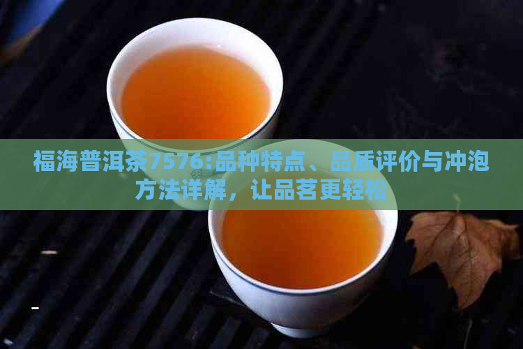 福海普洱茶7576:品种特点、品质评价与冲泡方法详解，让品茗更轻松