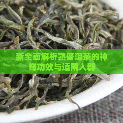 新全面解析熟普洱茶的神奇功效与适用人群