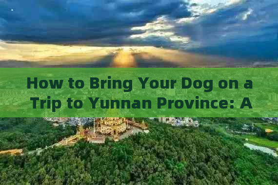 How to Bring Your Dog on a Trip to Yunnan Province: A Guide