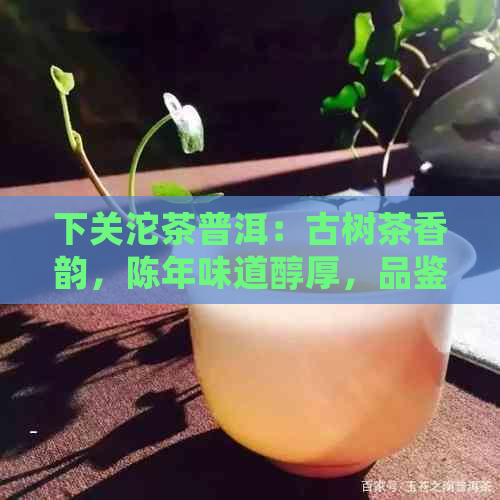 下关沱茶普洱：古树茶香韵，陈年味道醇厚，品鉴新体验