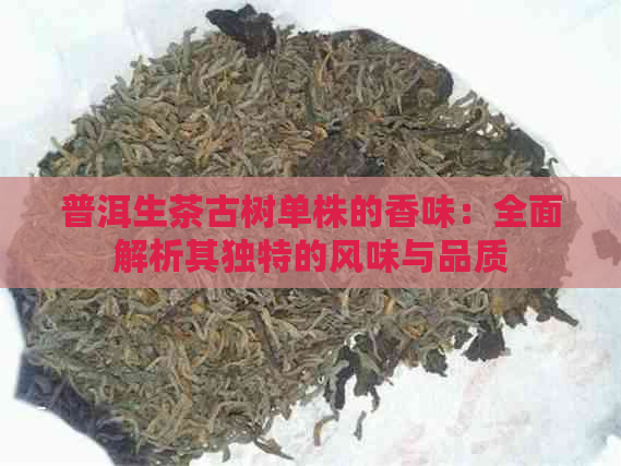 普洱生茶古树单株的香味：全面解析其独特的风味与品质