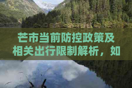 芒市当前政策及相关出行限制解析，如何安全出行？