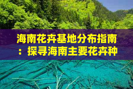 海南花卉基地分布指南：探寻海南主要花卉种植区及详细地址