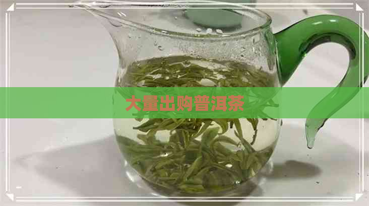 大量出购普洱茶