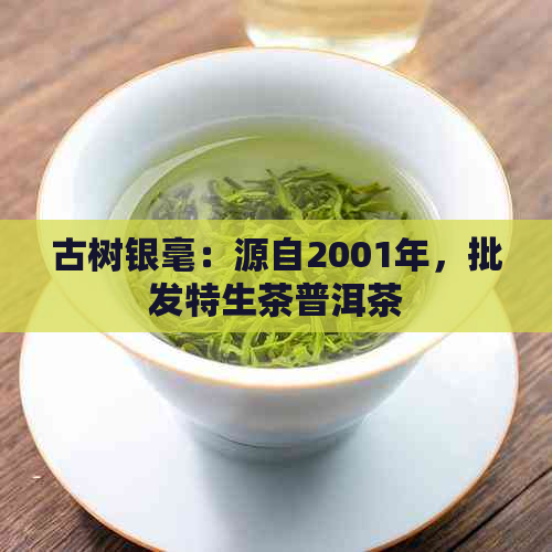 古树银毫：源自2001年，批发特生茶普洱茶