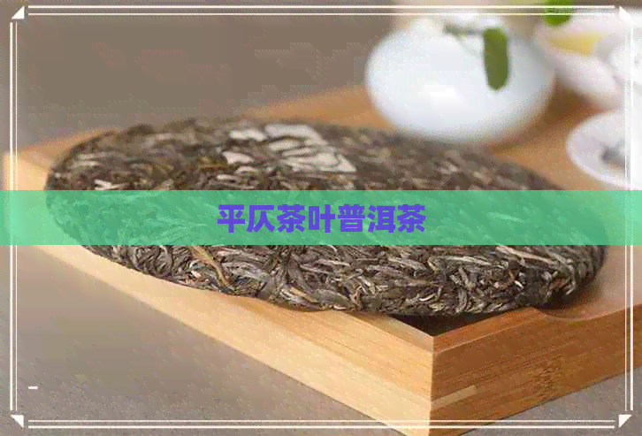 平仄茶叶普洱茶