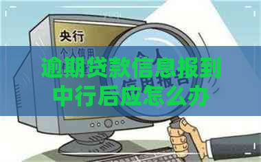 逾期贷款信息报到中行后应怎么办