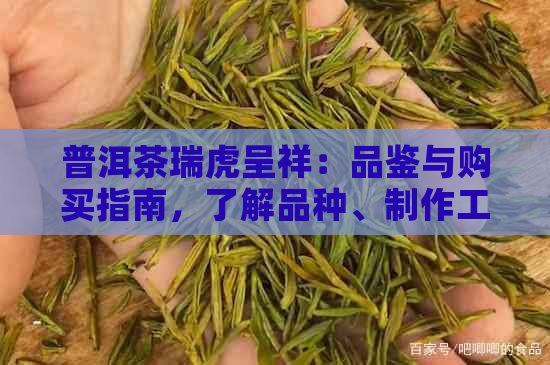 普洱茶瑞虎呈祥：品鉴与购买指南，了解品种、制作工艺与收藏价值