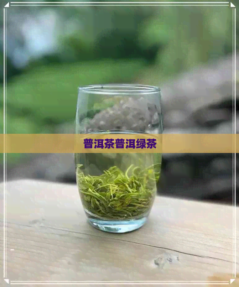 普洱茶普洱绿茶