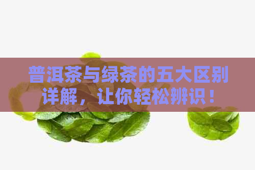 普洱茶与绿茶的五大区别详解，让你轻松辨识！