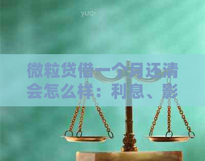 微粒贷借一个月还清会怎么样：利息、影响与操作指南