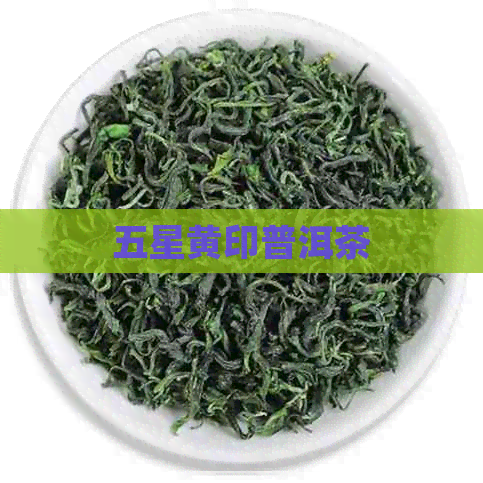 五星黄印普洱茶