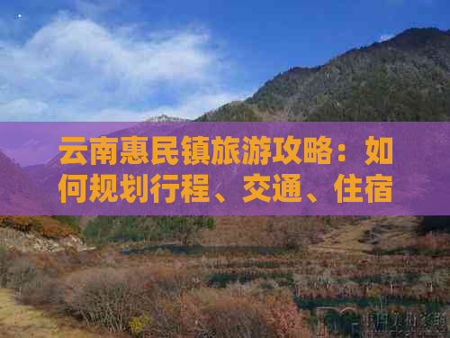 云南惠民镇旅游攻略：如何规划行程、交通、住宿及景点推荐？