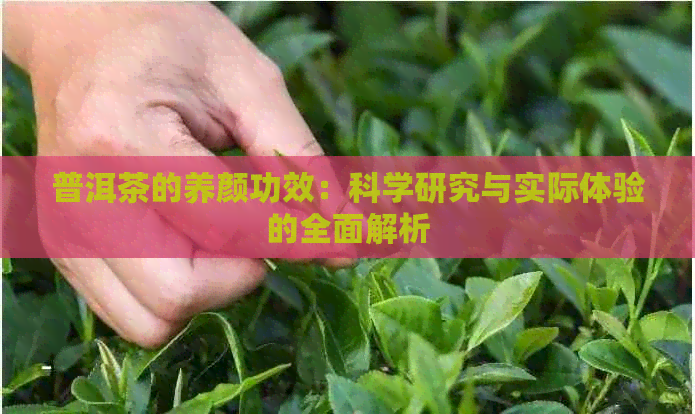 普洱茶的养颜功效：科学研究与实际体验的全面解析