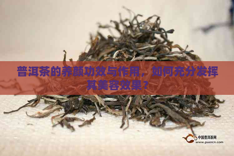 普洱茶的养颜功效与作用，如何充分发挥其美容效果？