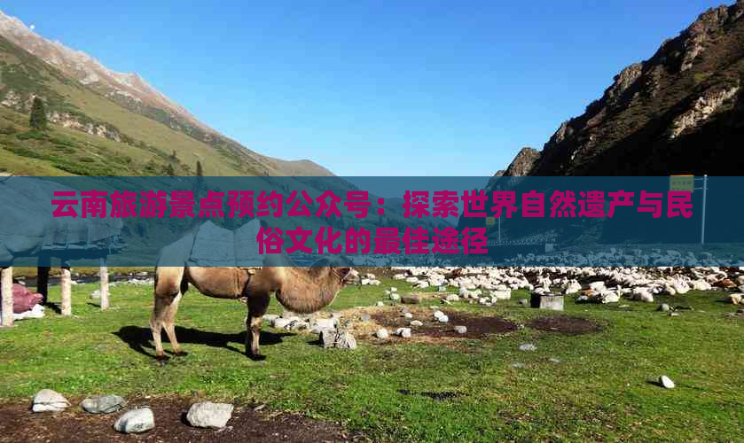 云南旅游景点预约公众号：探索世界自然遗产与民俗文化的更佳途径