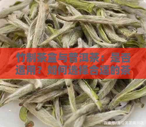 竹制茶盒与普洱茶：是否适用？如何选择合适的茶盒？