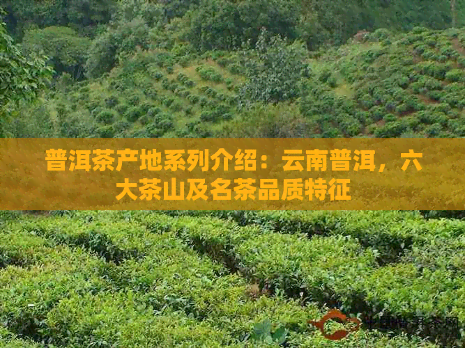 普洱茶产地系列介绍：云南普洱，六大茶山及名茶品质特征