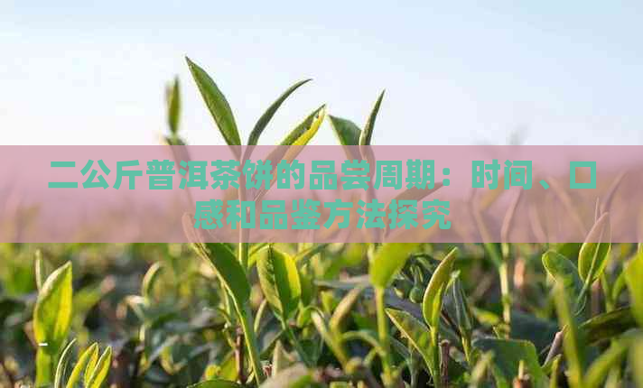 二公斤普洱茶饼的品尝周期：时间、口感和品鉴方法探究