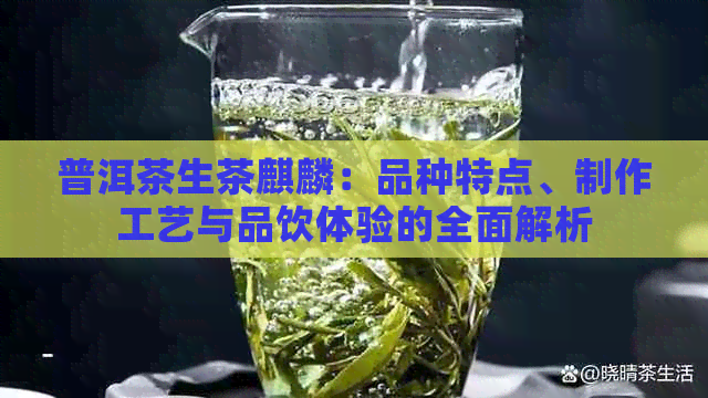 普洱茶生茶麒麟：品种特点、制作工艺与品饮体验的全面解析